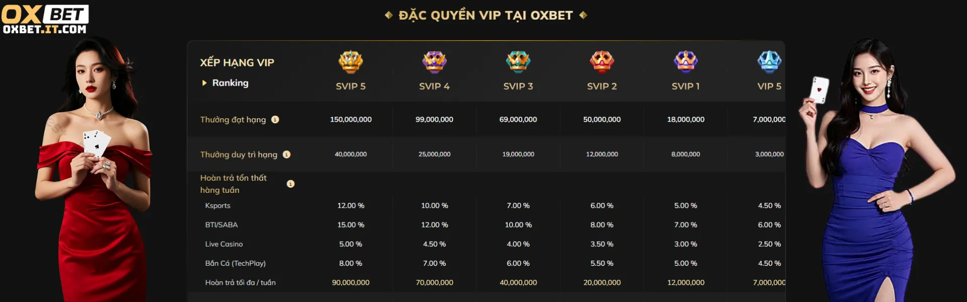 banner-oxbet.it.com