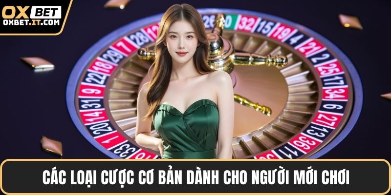 Các loại cược cơ bản dành cho người mới chơi