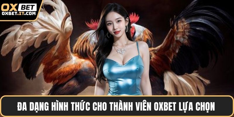 Đa dạng hình thức cho thành viên OXBET lựa chọn