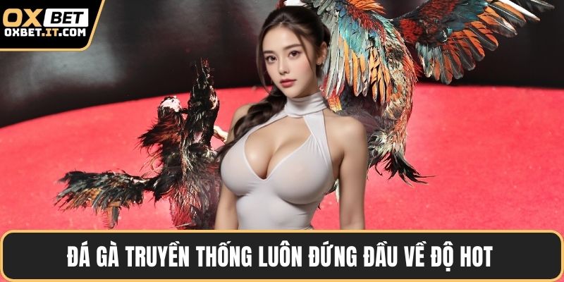 Đá gà truyền thống luôn đứng đầu về độ hot