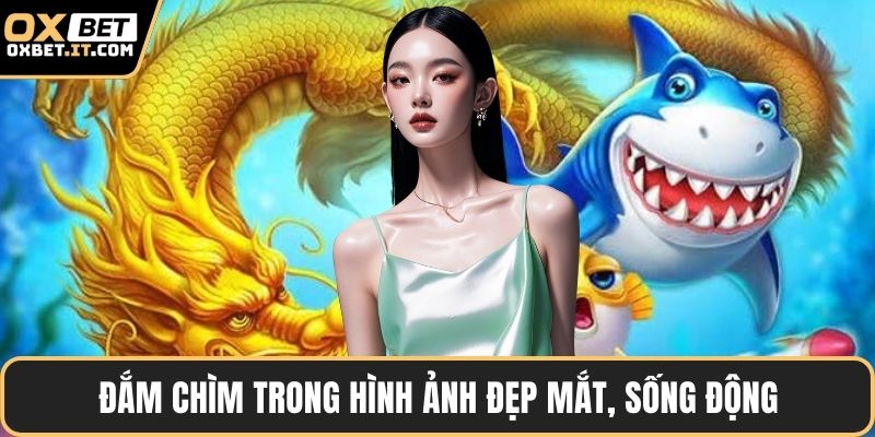 Đắm chìm trong hình ảnh đẹp mắt, sống động