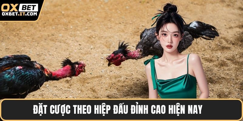 Đặt cược theo hiệp đấu đỉnh cao hiện nay