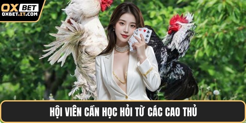 Hội viên cần học hỏi từ các cao thủ