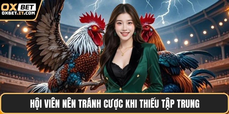 Hội viên nên tránh cược khi thiếu tập trung