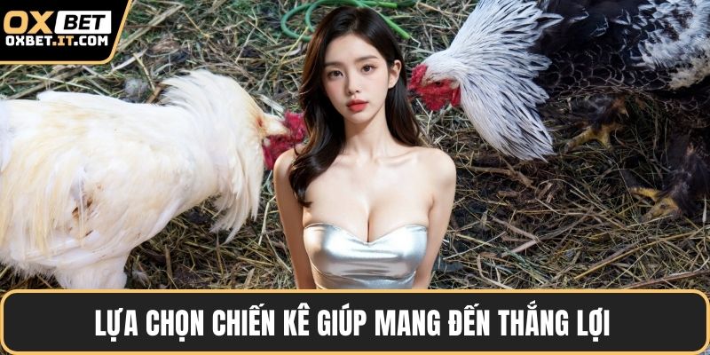 Lựa chọn chiến kê giúp mang đến thắng lợi