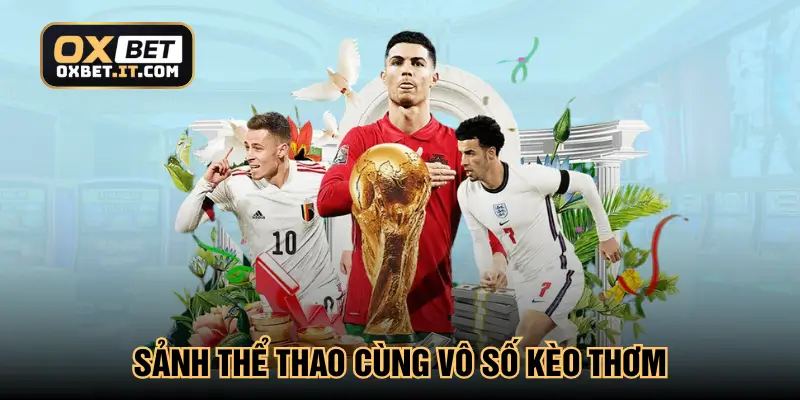 Sảnh thể thao cùng vô số kèo thơm