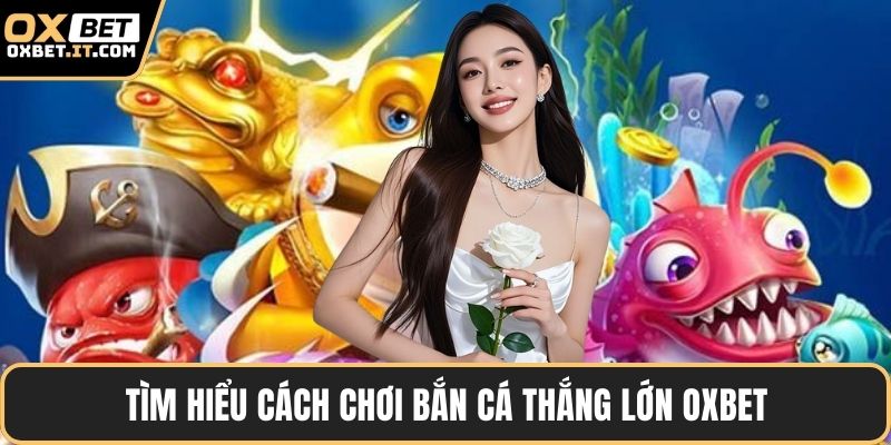 Tìm hiểu cách chơi bắn cá thắng lớn OXBET