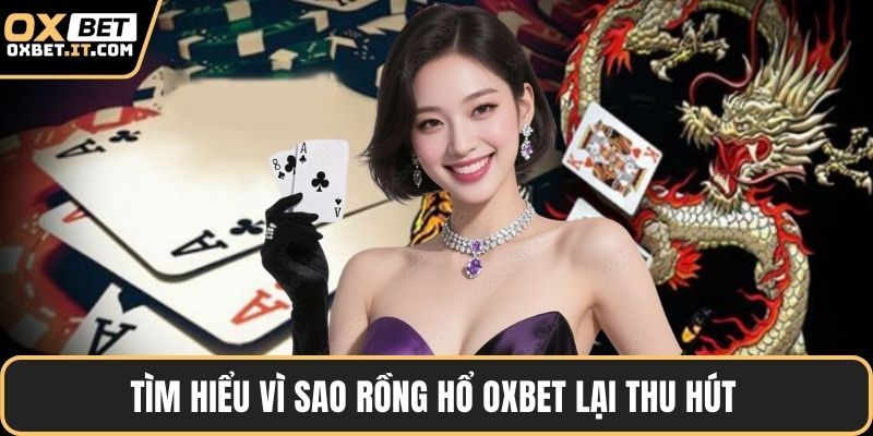 Tìm hiểu vì sao rồng hổ OXBET lại thu hút